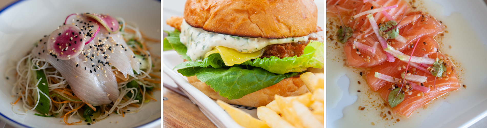 Image  Blog Article Header (12).png