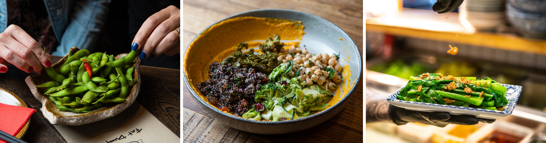 KS blog banner (1).png