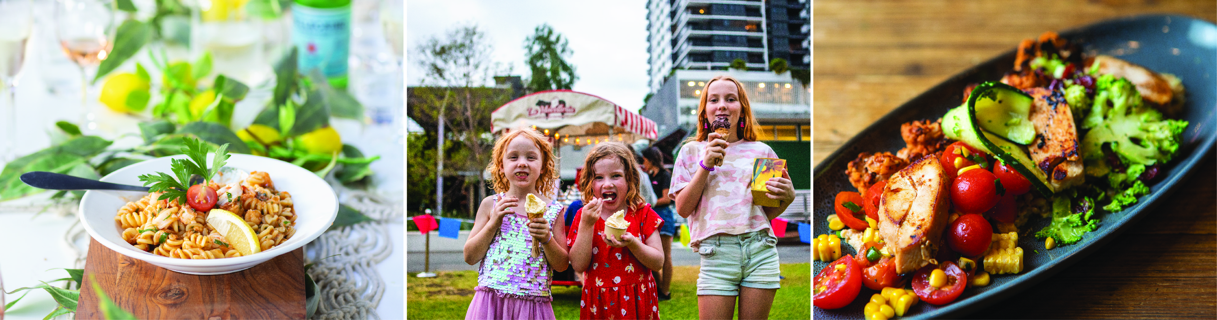 Newsletter Banner 2.jpg