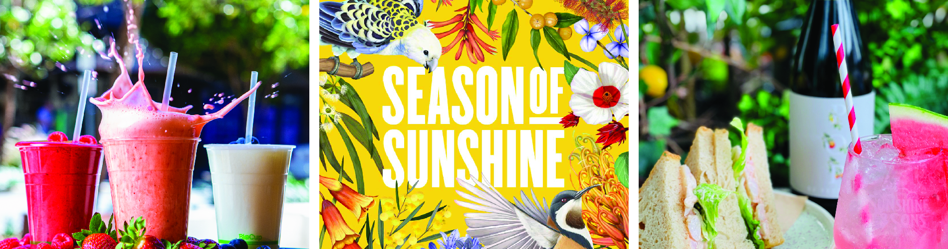 SoS deasl banner01.jpg