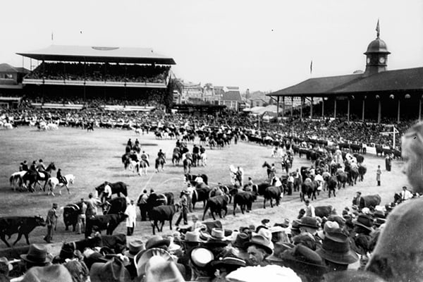 history_grandparade1948_600x400.jpg