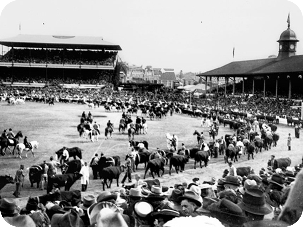 BRISBANE SHOWGROUNDS: A LIVING CHRONICLE OF QUEENSLAND’S HERITAGE Image